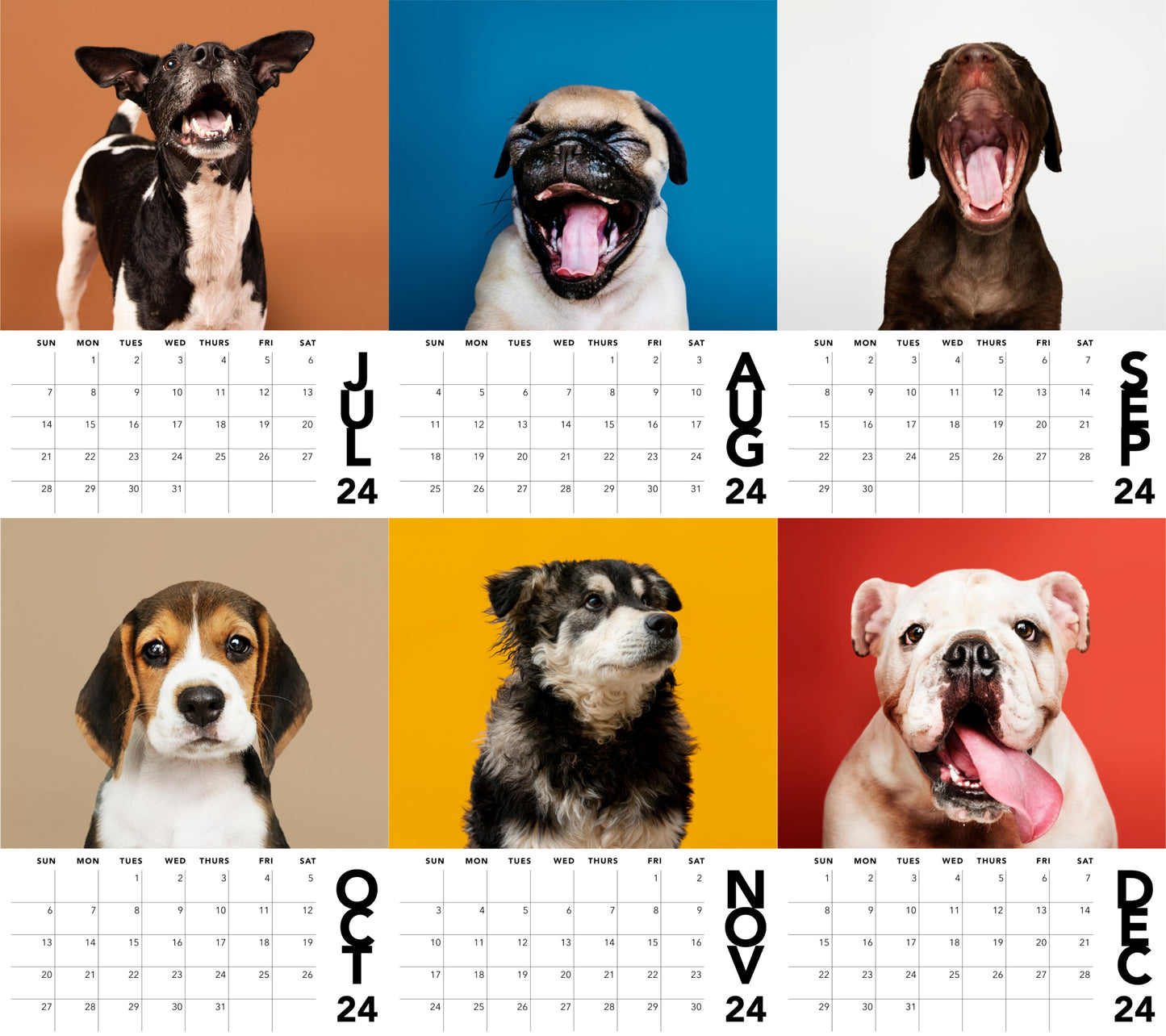 PHOTO CALENDAR MAGNETS