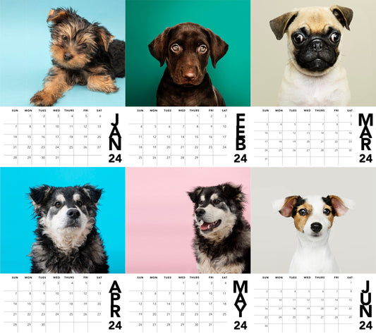 PHOTO CALENDAR MAGNETS